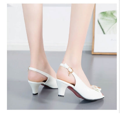 【Shoes】3色選択可パンプス W11244