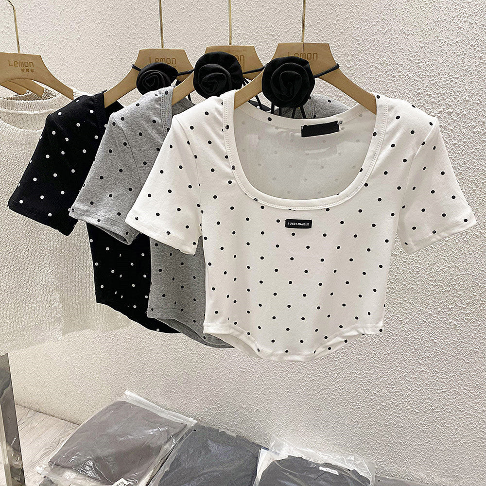 【Tops】3色展開ドット柄Ｔシャツ　Ｗ12337